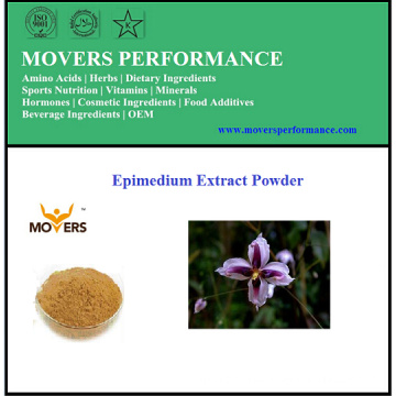 Hochwertiges Bio-Epimedium-Extrakt-Pulver